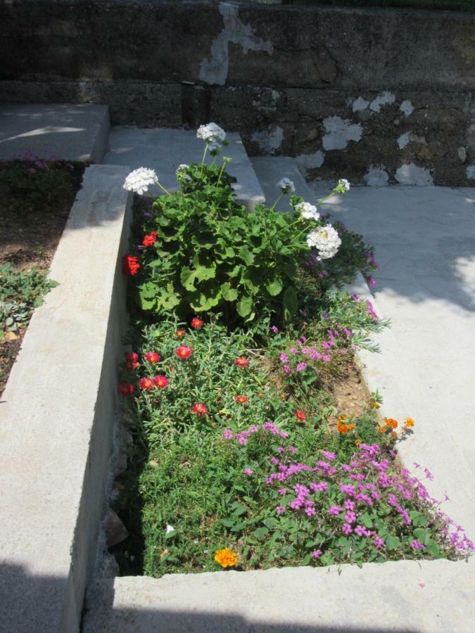 Apartmani Gracijela كارلوباغ المظهر الخارجي الصورة