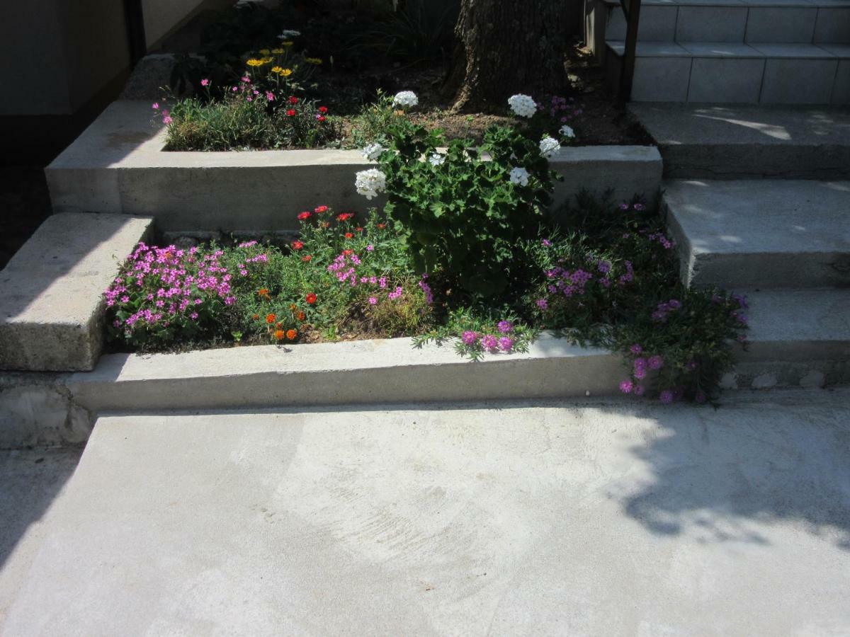 Apartmani Gracijela كارلوباغ المظهر الخارجي الصورة